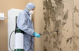 Best Mold Remediation for Healthcare Facilities  in Rk Forest Village, PA